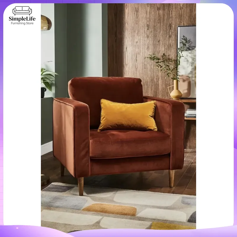 2024 Modern Minimalist Velvet  - Home Office 2024 评论和价格