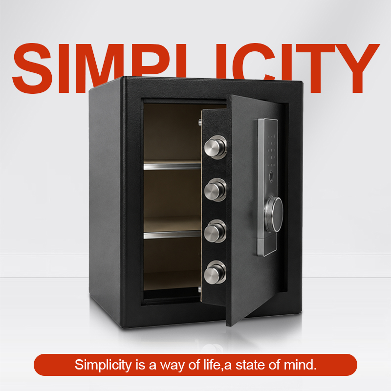 Biometric Fingerprint Safe Box - Home Office For Passport 评论和价格